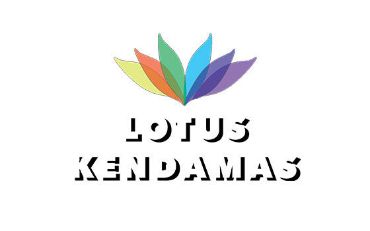 Image de la catégorie Lotus Kendamas