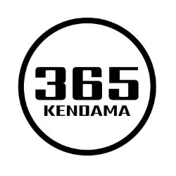 Picture of 365Kendamas