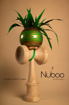 Picture of Teodore Fiorina - GT Nuboo