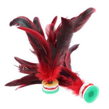 Picture of Jianzi - traditional Chinese shuttlecock game
